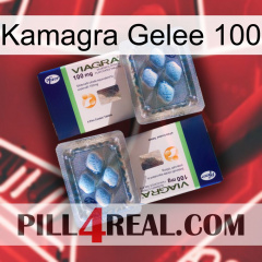 Kamagra Jelly 100 viagra5